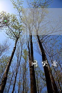网贷逾期该不该补天