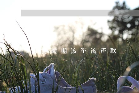 网贷逾期该不该还款 网贷逾期该不该还款