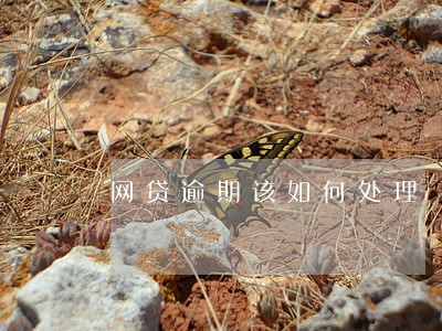 网贷逾期该如何处理
