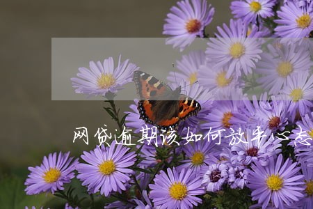 网贷逾期该如何放平心态 网贷逾期该如何放平心态
