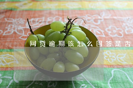 网贷逾期该怎么回答是否上班 网贷逾期该怎么回答是否上班