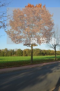 网贷逾期该怎么来处理 网贷逾期该怎么来处理