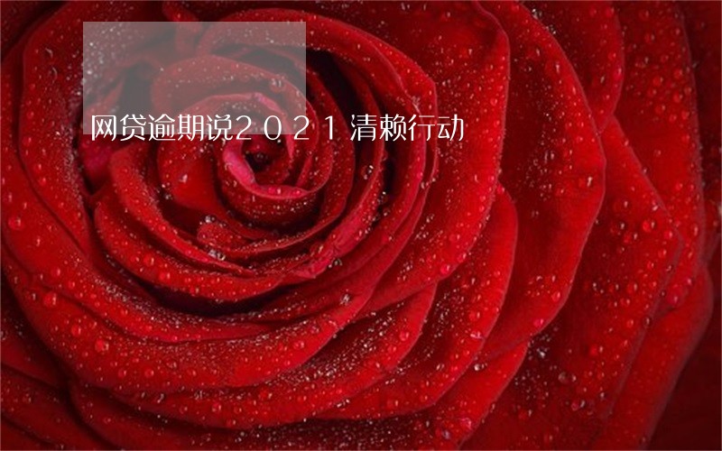 网贷逾期说2021清赖行动 网贷逾期说2021清赖行动