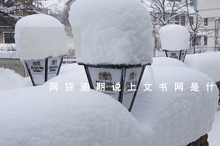 网贷逾期说上文书网是什么意思 网贷逾期说上文书网是什么意思