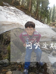 网贷逾期说上法院真的么 网贷逾期说上法院真的么