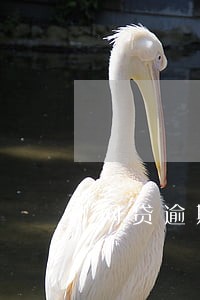 网贷逾期说上门调查情况 网贷逾期说上门调查情况