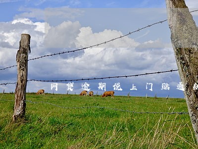 网贷逾期说上门贴通知书 网贷逾期说上门贴通知书