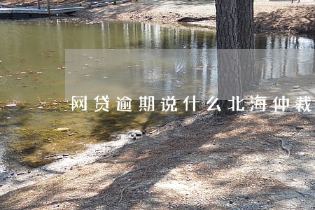 网贷逾期说什么北海仲裁是真的吗 网贷逾期说什么北海仲裁是真的吗