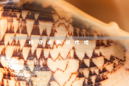 网贷逾期说代偿