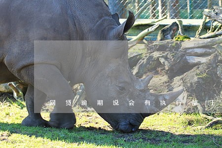 网贷逾期说会有执行部门上门