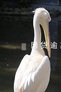 网贷逾期说保全起诉我 网贷逾期说保全起诉我