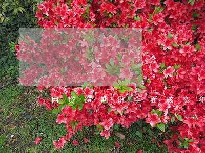 网贷逾期说全面核资犯法吗 网贷逾期说全面核资犯法吗