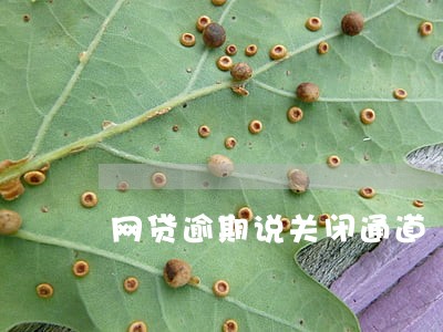 网贷逾期说关闭通道 网贷逾期说关闭通道