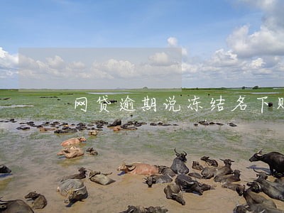 网贷逾期说冻结名下账户 网贷逾期说冻结名下账户