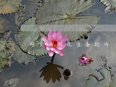 网贷逾期说准备起诉
