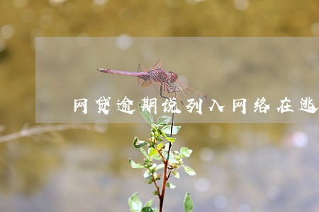 网贷逾期说列入网络在逃人员 网贷逾期说列入网络在逃人员