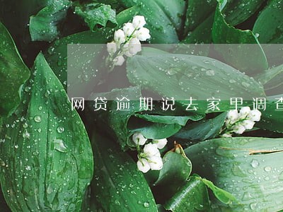 网贷逾期说去家里调查情况 网贷逾期说去家里调查情况