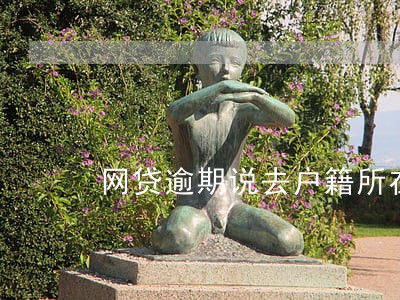 网贷逾期说去户籍所在地核实 网贷逾期说去户籍所在地核实