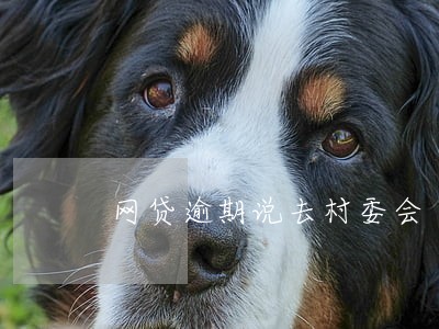 网贷逾期说去村委会 网贷逾期说去村委会