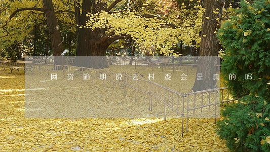 网贷逾期说去村委会是真的吗 网贷逾期说去村委会是真的吗