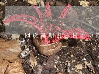 网贷逾期说去村里协商 网贷逾期说去村里协商