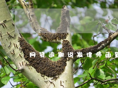 网贷逾期说发律师函到村委会 网贷逾期说发律师函到村委会