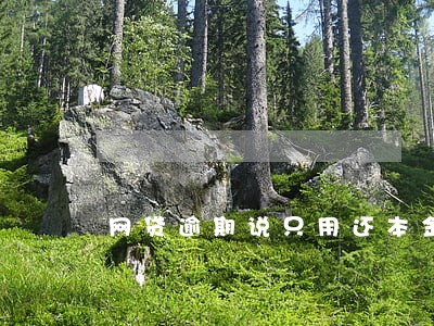 网贷逾期说只用还本金6