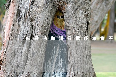 网贷逾期说只需还本金不然起诉 网贷逾期说只需还本金不然起诉