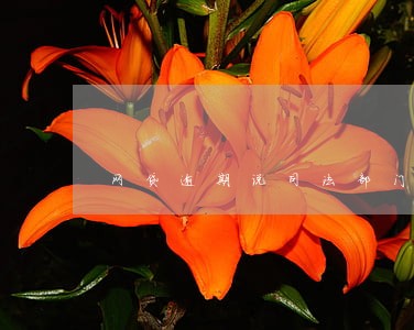 网贷逾期说司法部门介入 网贷逾期说司法部门介入