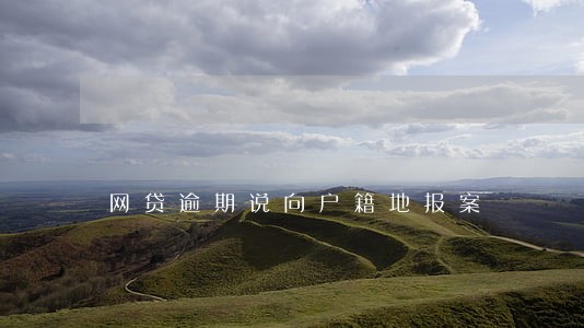 网贷逾期说向户籍地报案 网贷逾期说向户籍地报案