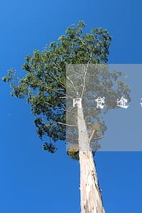 网贷逾期说告上法庭了 网贷逾期说告上法庭了