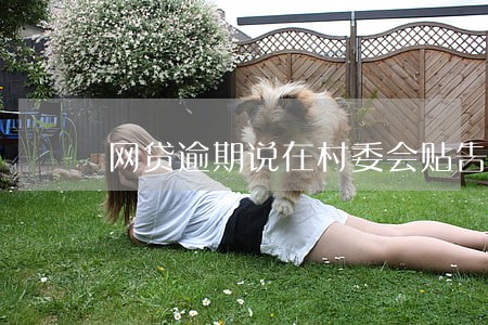网贷逾期说在村委会贴告知单 网贷逾期说在村委会贴告知单