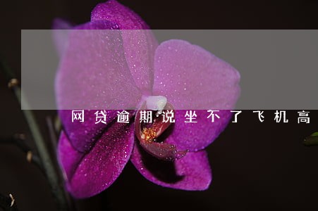 网贷逾期说坐不了飞机高铁 网贷逾期说坐不了飞机高铁