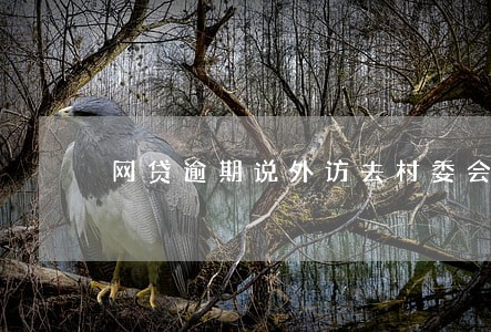 网贷逾期说外访去村委会