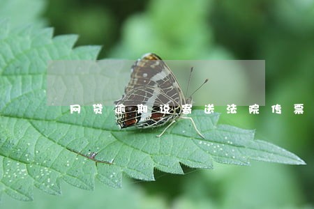 网贷逾期说寄送法院传票 网贷逾期说寄送法院传票