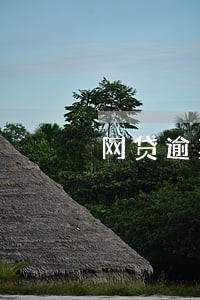 网贷逾期说已前往户籍地 网贷逾期说已前往户籍地