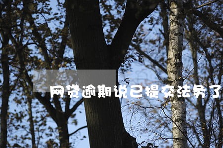 网贷逾期说已提交法务了