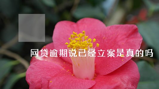 网贷逾期说已经立案是真的吗 网贷逾期说已经立案是真的吗