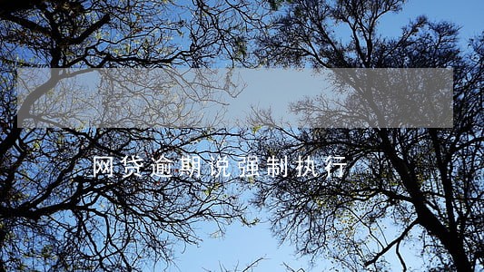 网贷逾期说强制执行 网贷逾期说强制执行