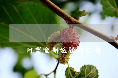 网贷逾期说强制结清 网贷逾期说强制结清