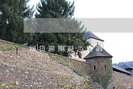 网贷逾期说当地调查部门上门 网贷逾期说当地调查部门上门