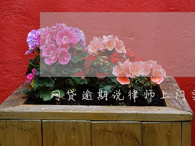 网贷逾期说律师上门要钱是真的吗