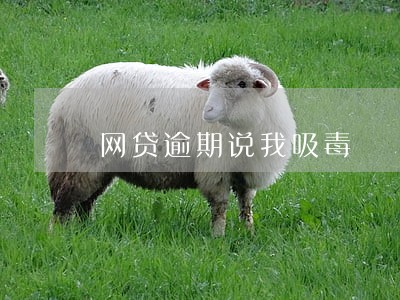 网贷逾期说我吸毒 网贷逾期说我吸毒