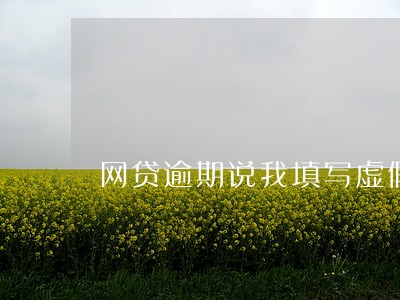 网贷逾期说我填写虚假信息 网贷逾期说我填写虚假信息