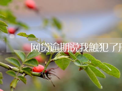 网贷逾期说我触犯了刑法 网贷逾期说我触犯了刑法