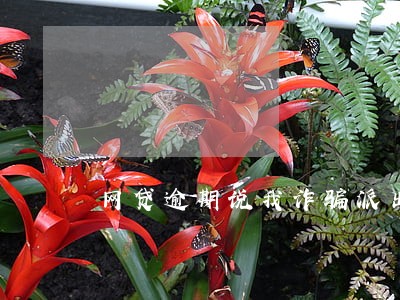 网贷逾期说我诈骗派出所抓我 网贷逾期说我诈骗派出所抓我