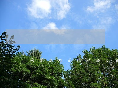 网贷逾期说我诈骗立案批捕我 网贷逾期说我诈骗立案批捕我