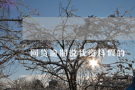 网贷逾期说我资料假的 网贷逾期说我资料假的