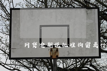 网贷逾期说批准拘留是什么意思 网贷逾期说批准拘留是什么意思