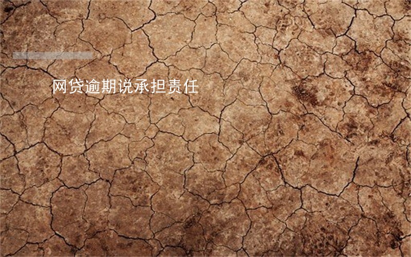 网贷逾期说承担责任 网贷逾期说承担责任